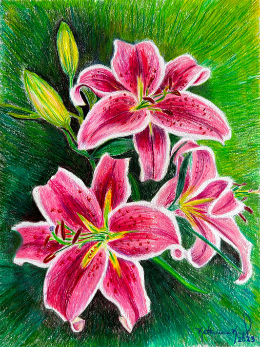 Kate's Lillies